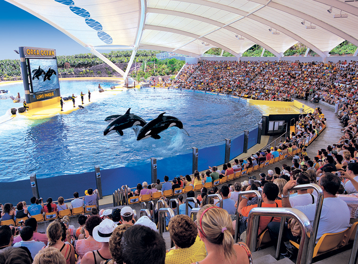 umstrittene Orca Show